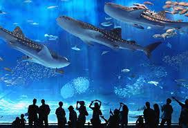 Acquario di Genova-1