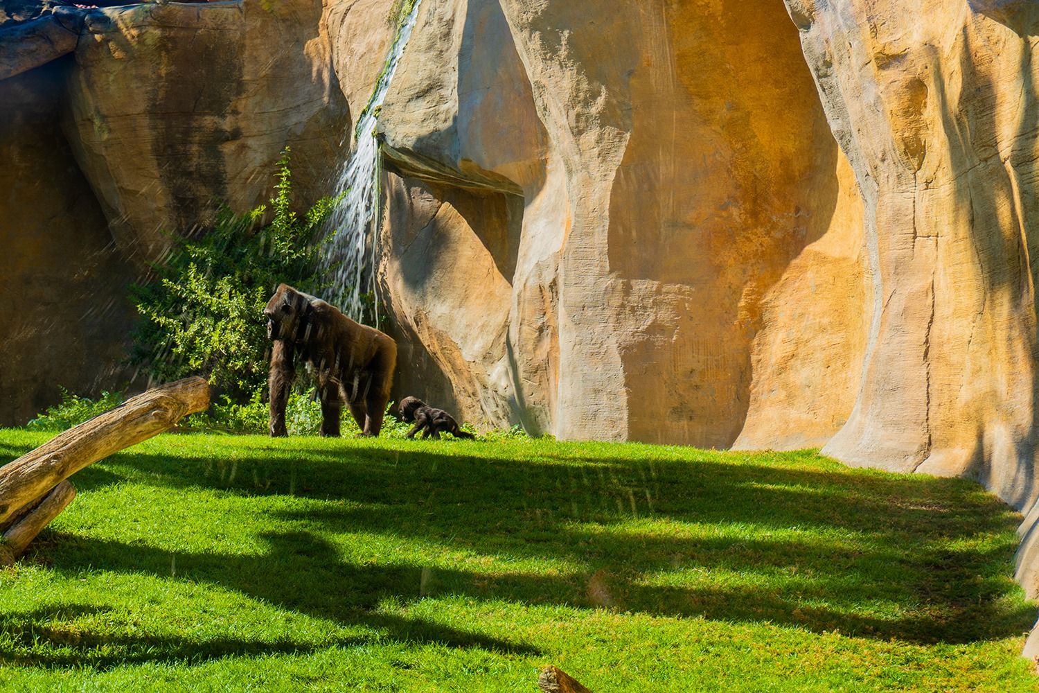 Bioparc Fuengirola-9