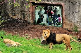 Bioparco di Roma-1