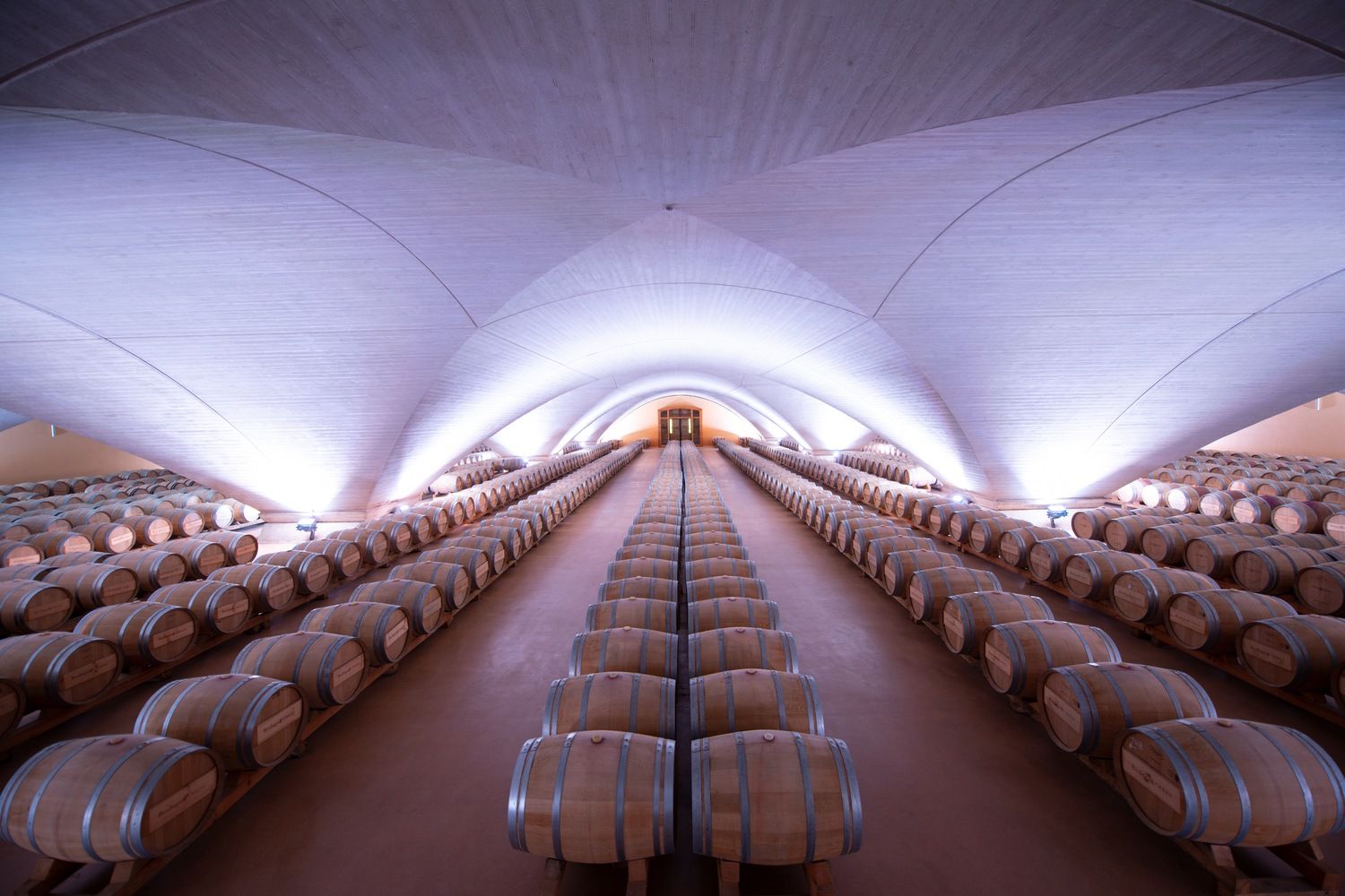 Bodega Otazu-10