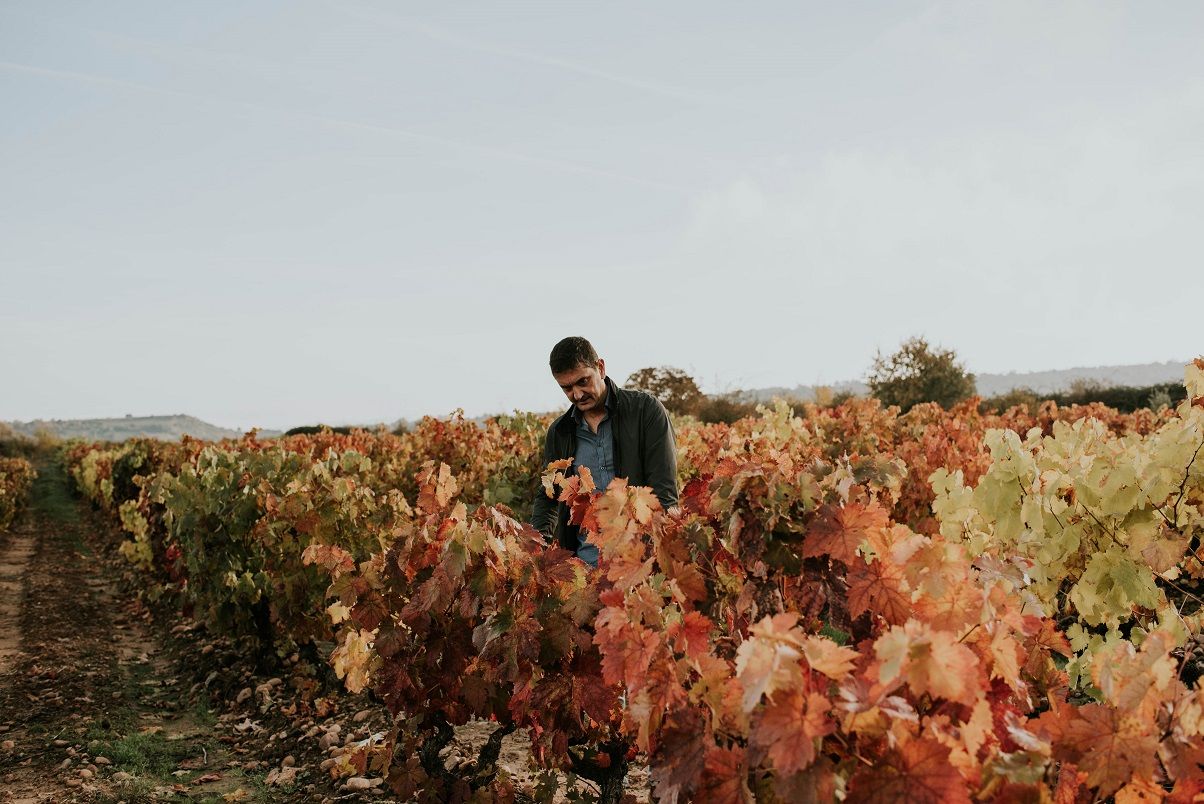 Bodegas Franco - Españolas-6