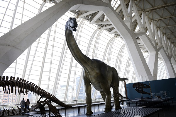 Cidade das Artes e das Ciências-5