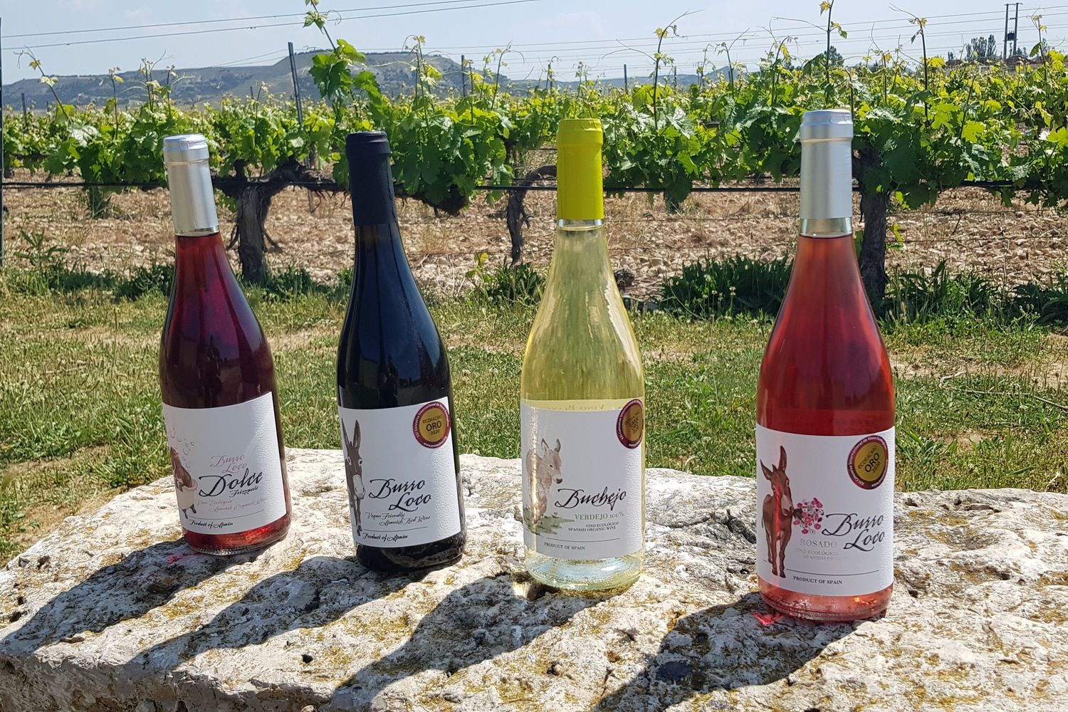 Concejo Bodegas-8