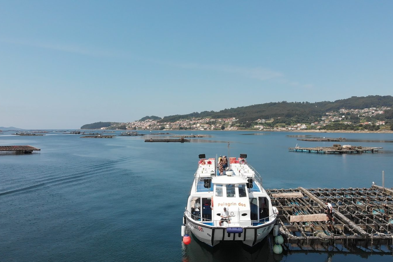 Crucero por las Bateas en O Grove-3