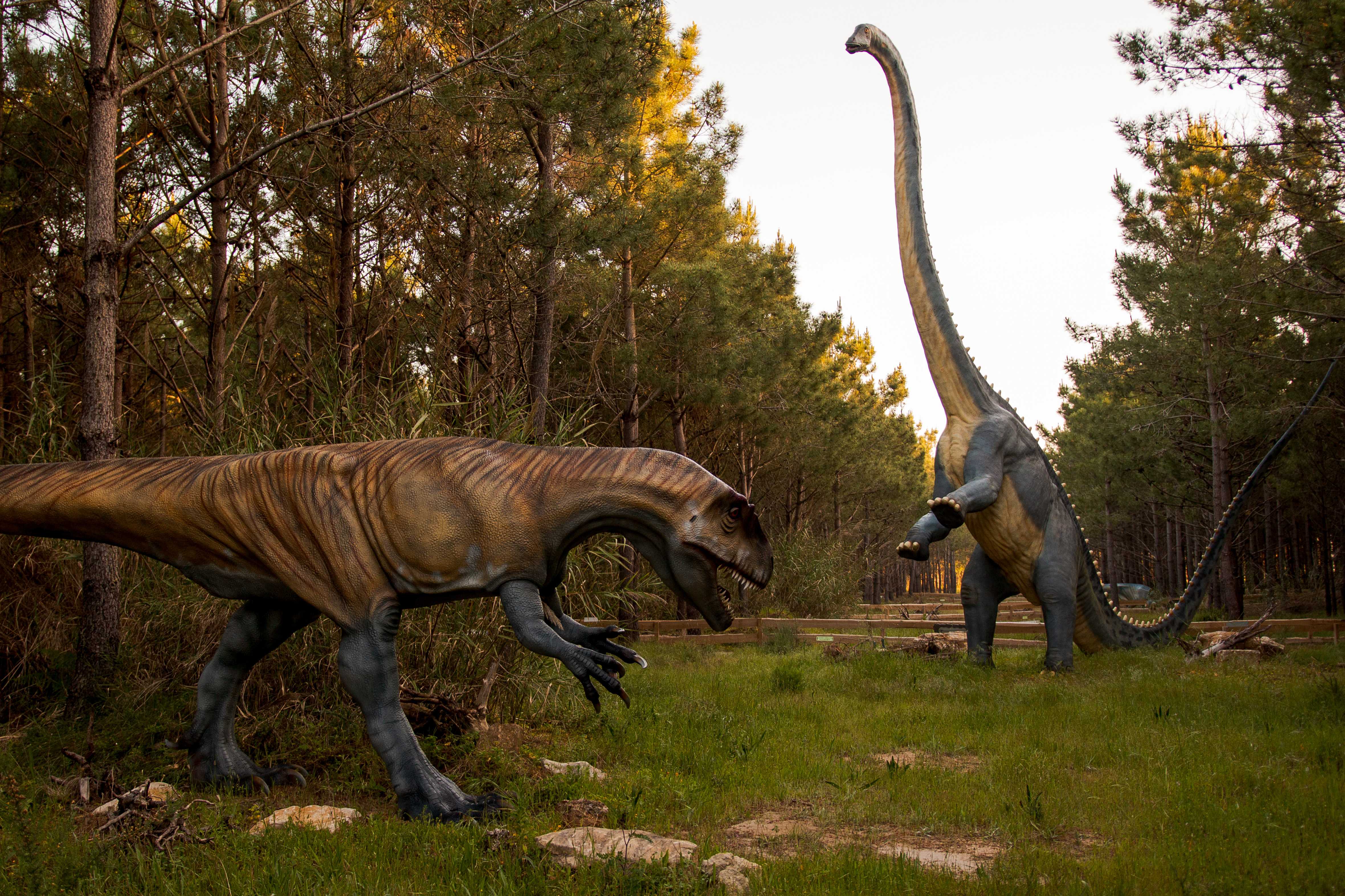 Dino Parque Lourinhã-6