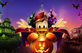 Vive a magia das temporadas mais especiais​