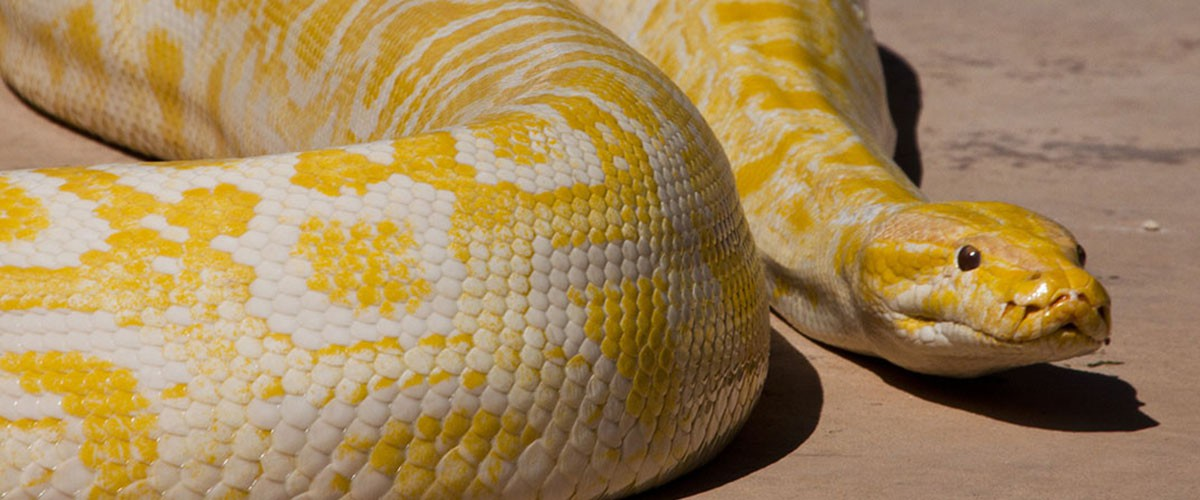Zoo Lloc Menorca-1