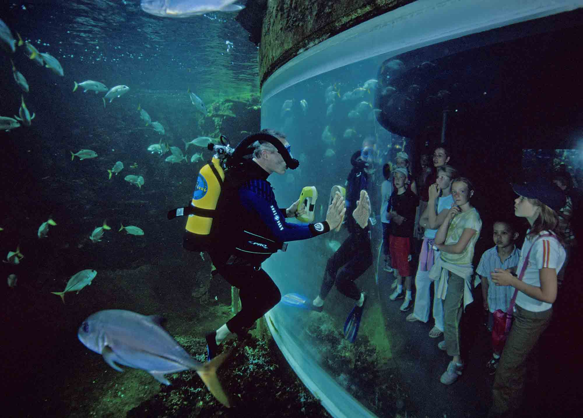 Nausicaa - Boulogne-sur-Mer-3