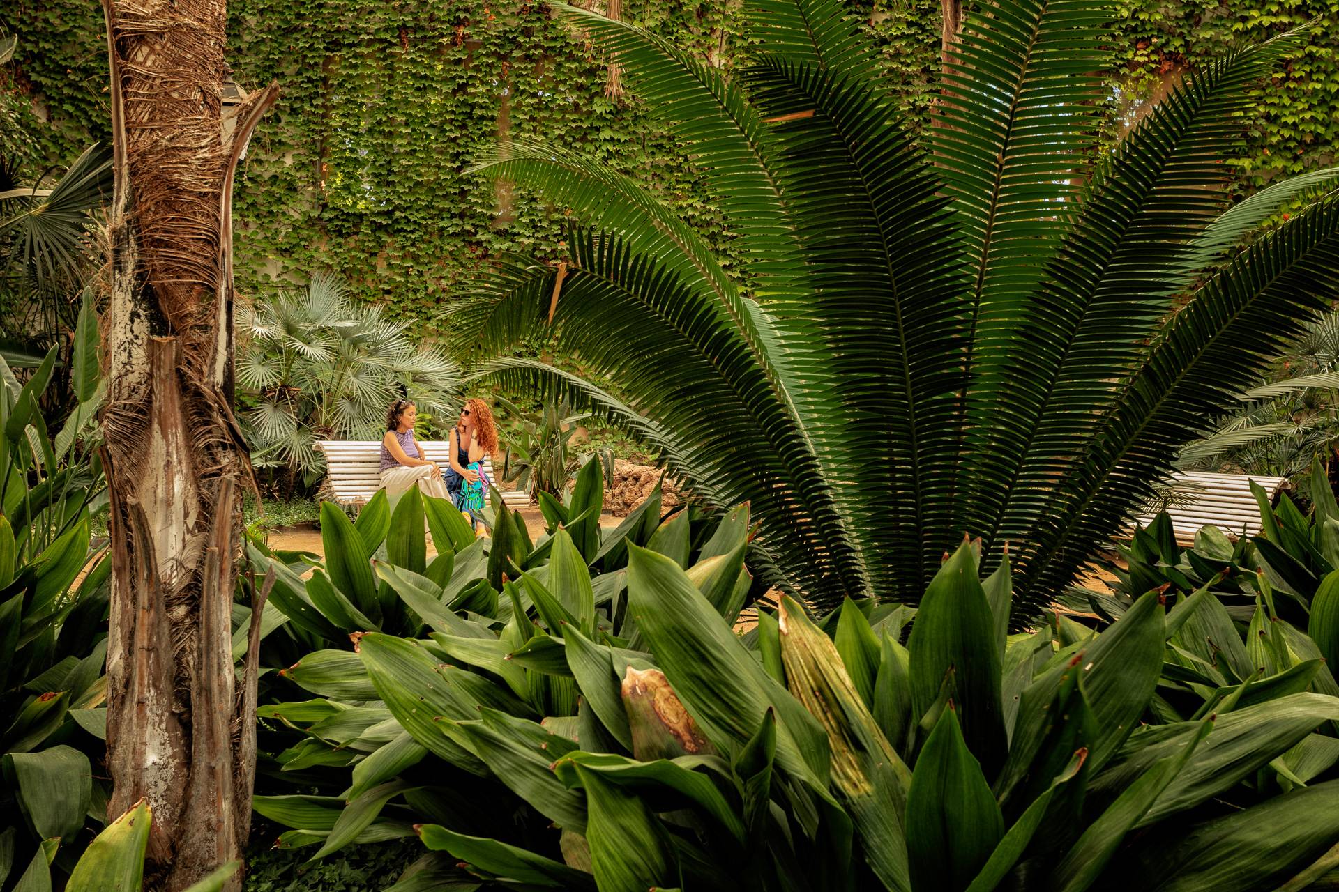 Parc Samá-11