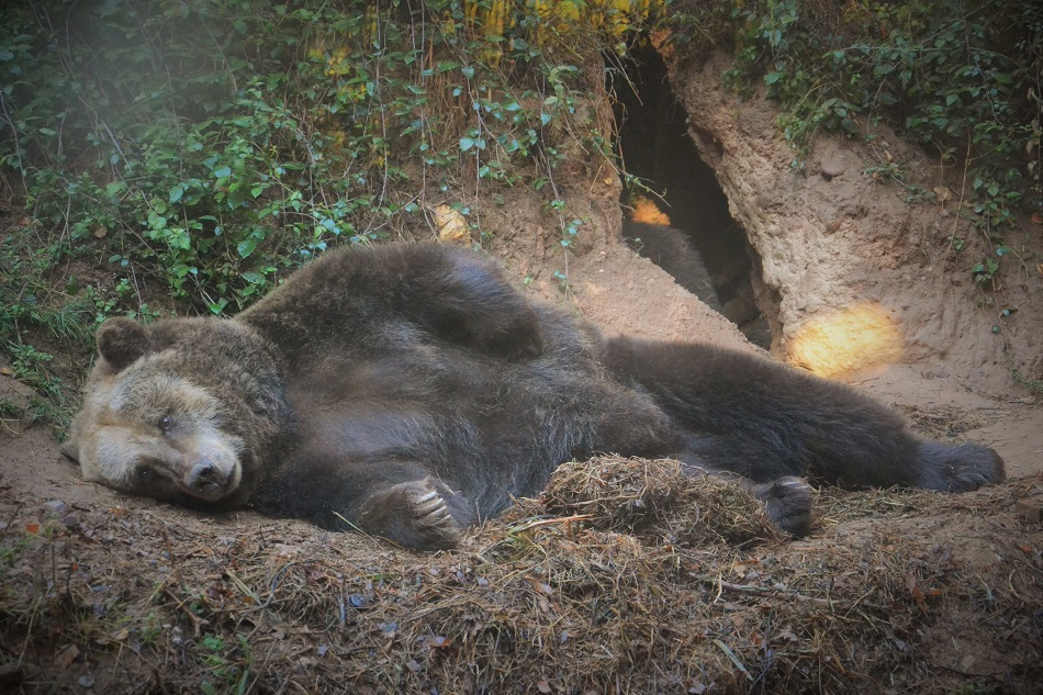 Parque Biológico da Serra da Lousã-4