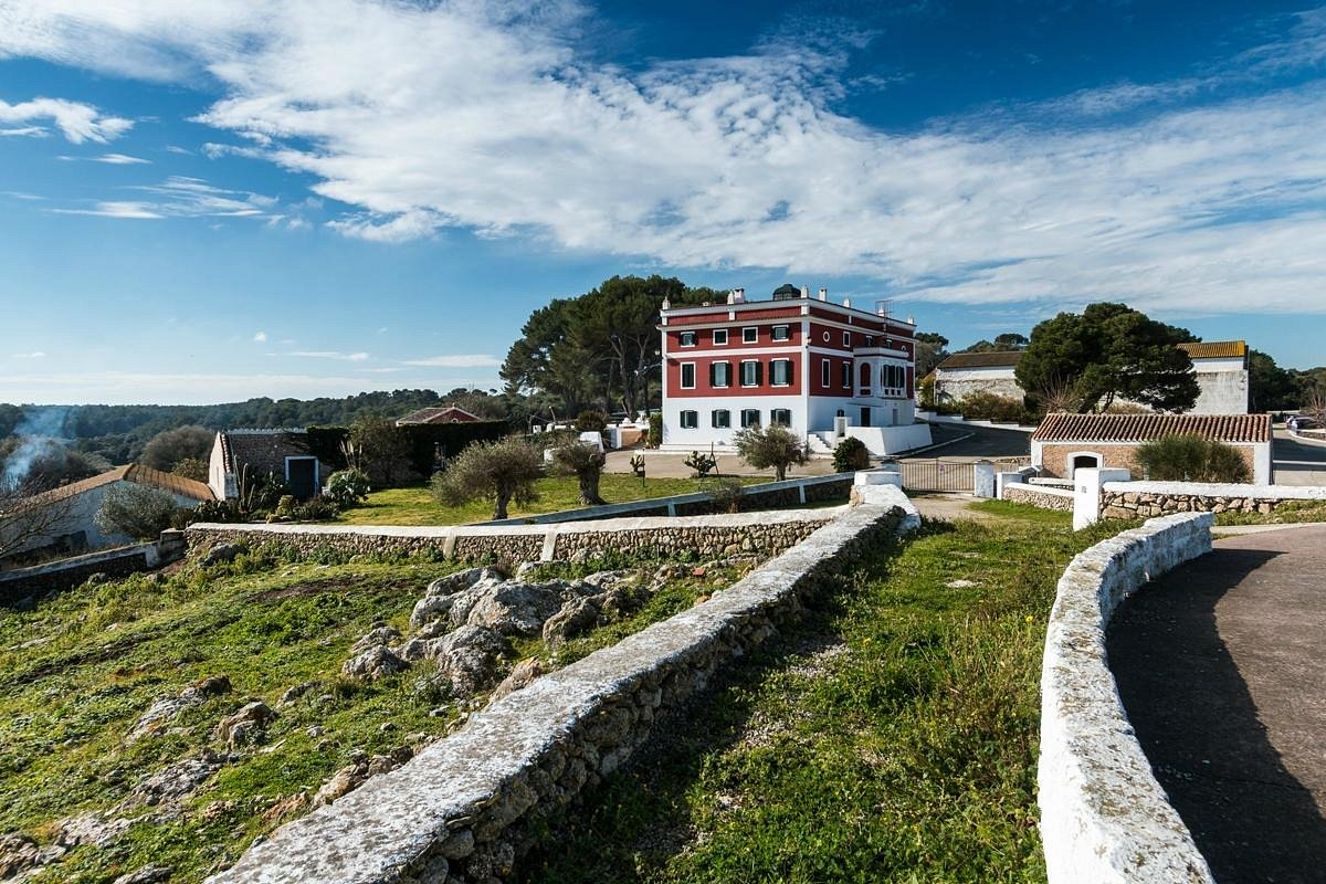 Visita Guíada a la quesería Subaida + degustación