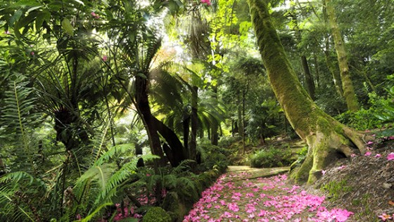 Parque e Palácio da Pena-3