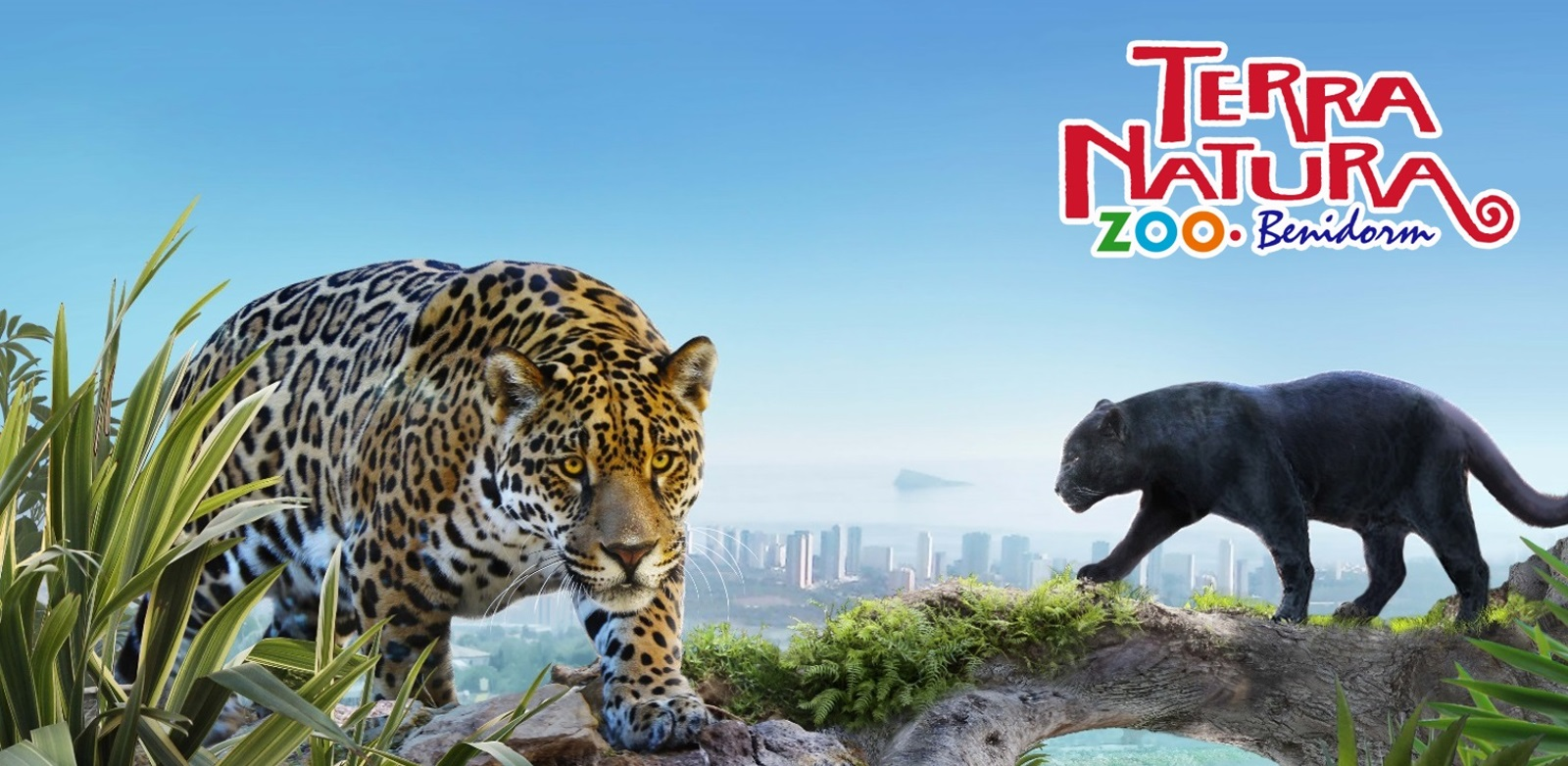 Terra Natura y Aqua Natura Benidorm-1