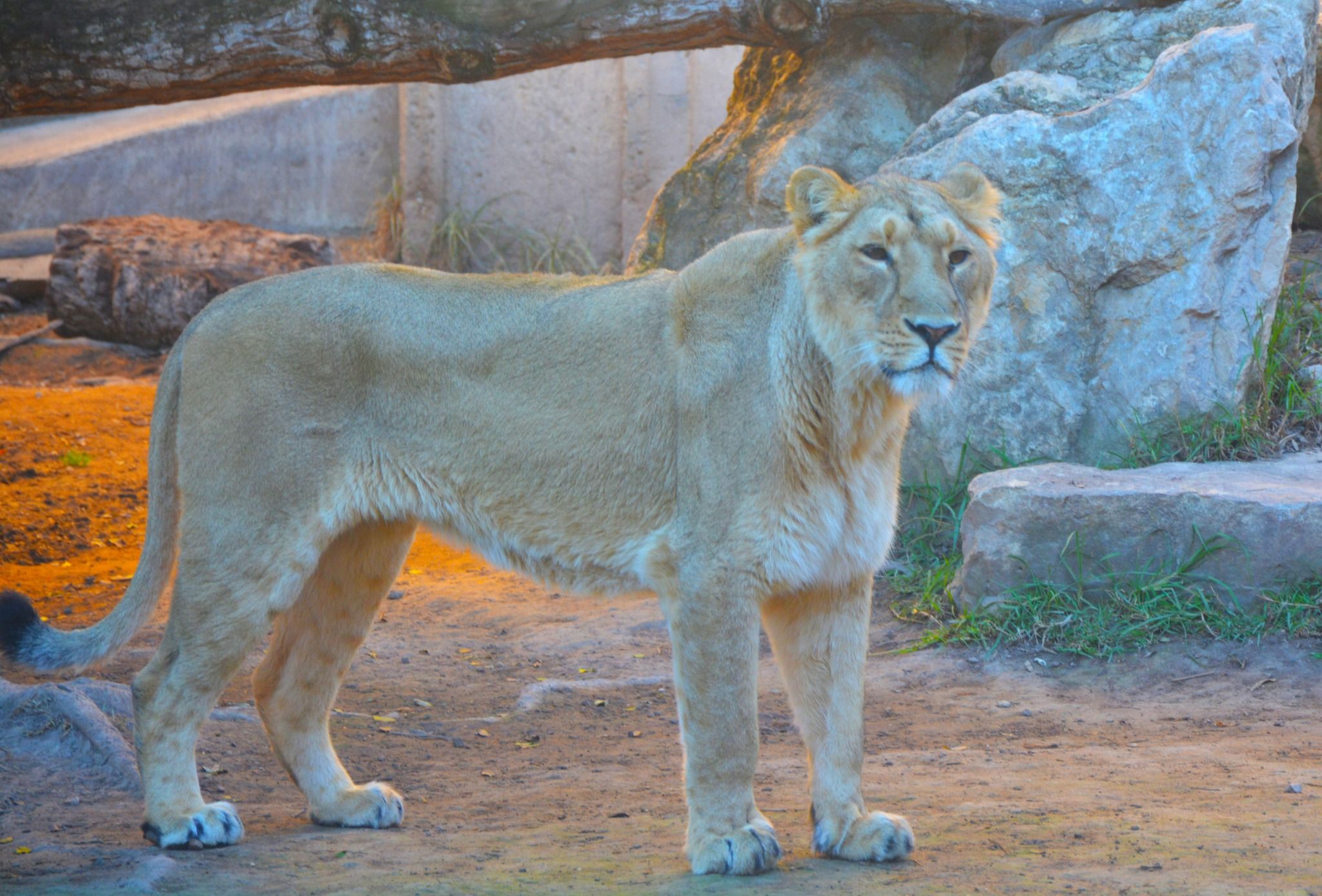 Terra Natura y Aqua Natura Benidorm-12