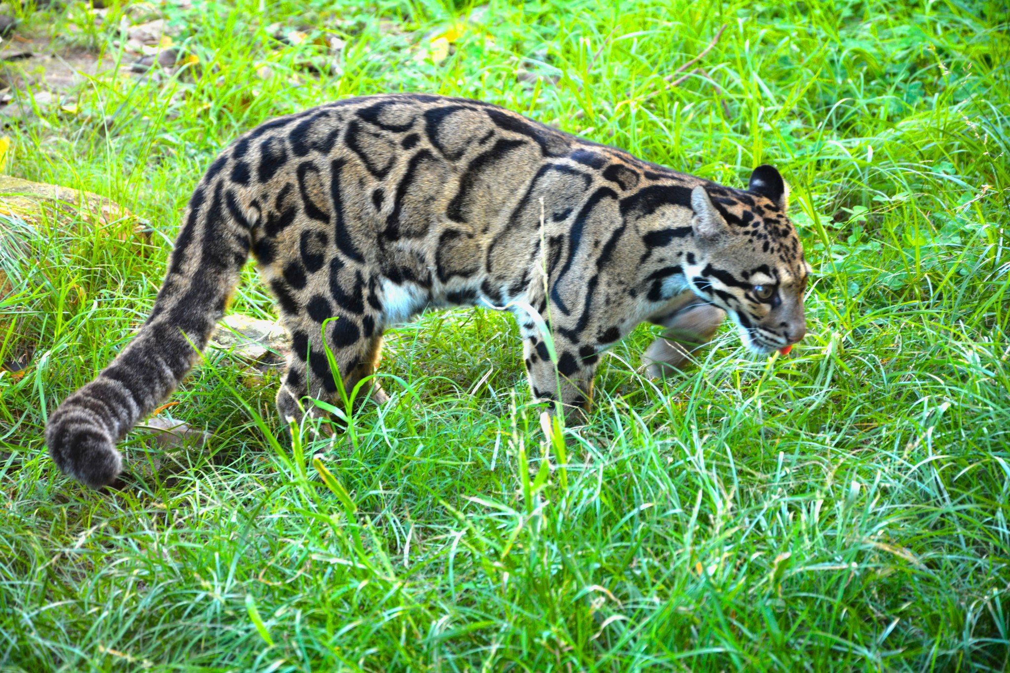 Terra Natura y Aqua Natura Benidorm-10