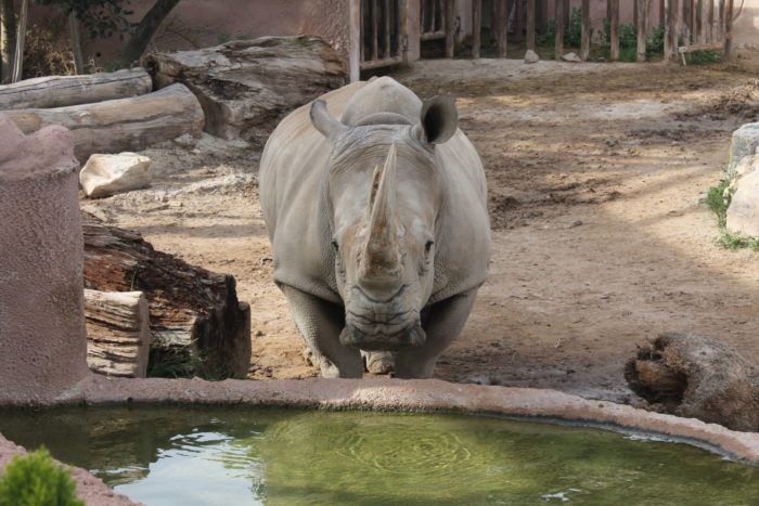Terra Natura Murcia-2