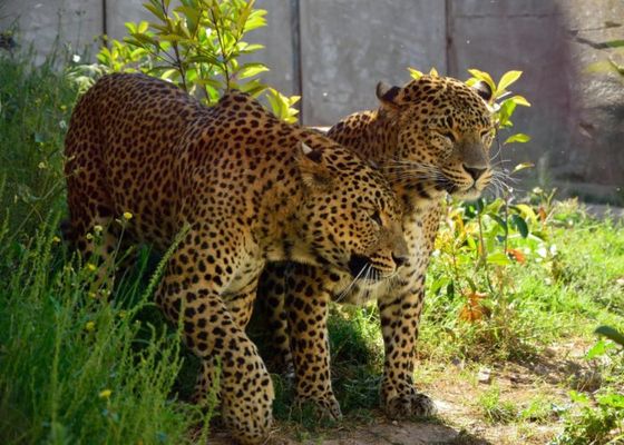 Terra Natura Murcia