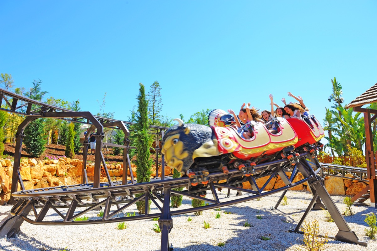 Zoomarine Dolphin Emotions-8